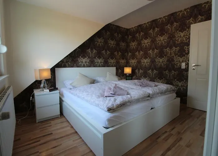 Schildknecht Daire *